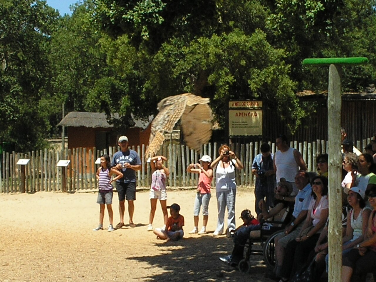 Badoca Safari Park: Discovering the Wonders of Badoca Safari Park — o que fazer no Badoca Safari Park — with overlay text "Before You...