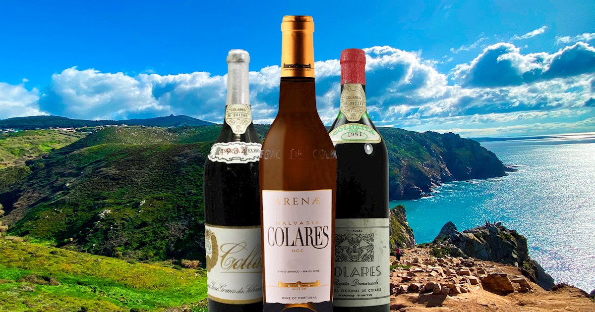 Colares wine — Sintra