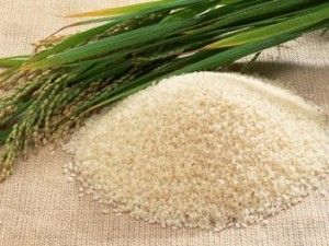 Carolino rice — Alcacer do Sal