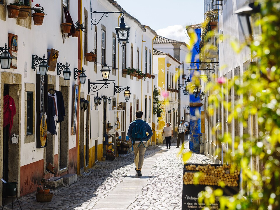 Lisbon to Porto Transfer with Stops in Óbidos and Nazaré
