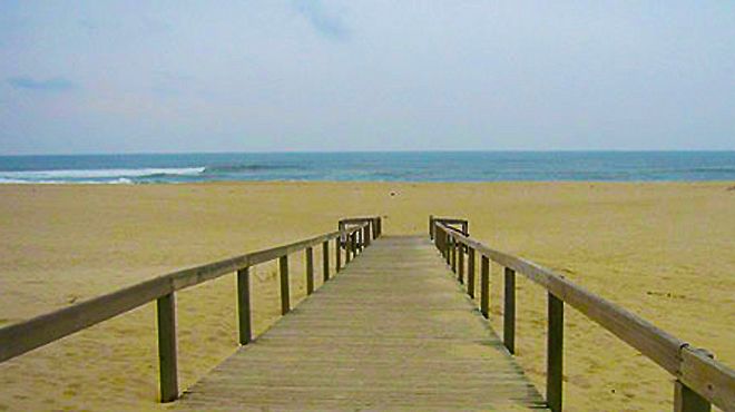 São Jacinto Dunes Nature Reserve — Aveiro